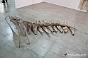 VBS_5436 - Artissima 2021